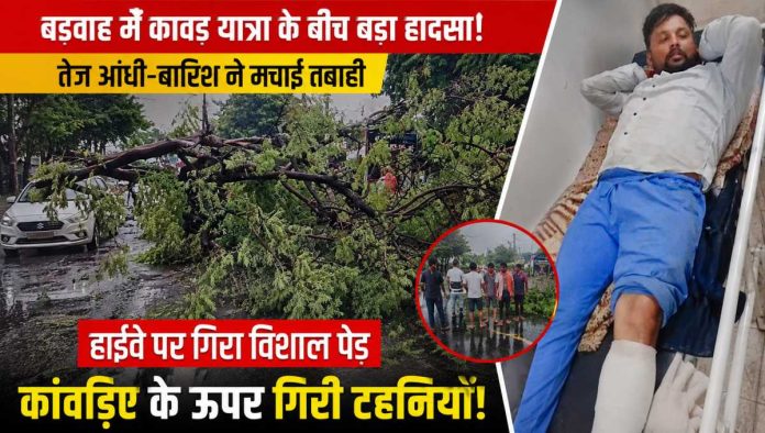 ​बड़वाह में इंदौर-खंडवा हाईवे पर गिरा पेड़ और लगा ट्रैफिक जाम